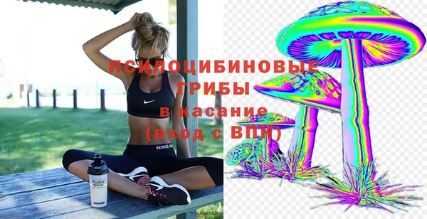 тгк Верея