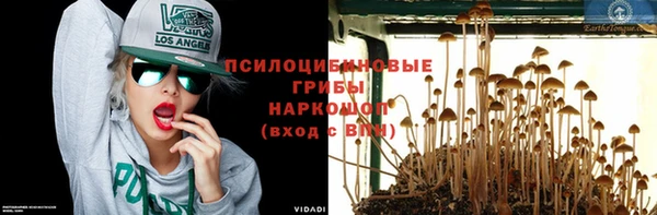 тгк Верея