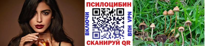 Купить где  Анадырь  Галлюциногенные грибы ЛСД 